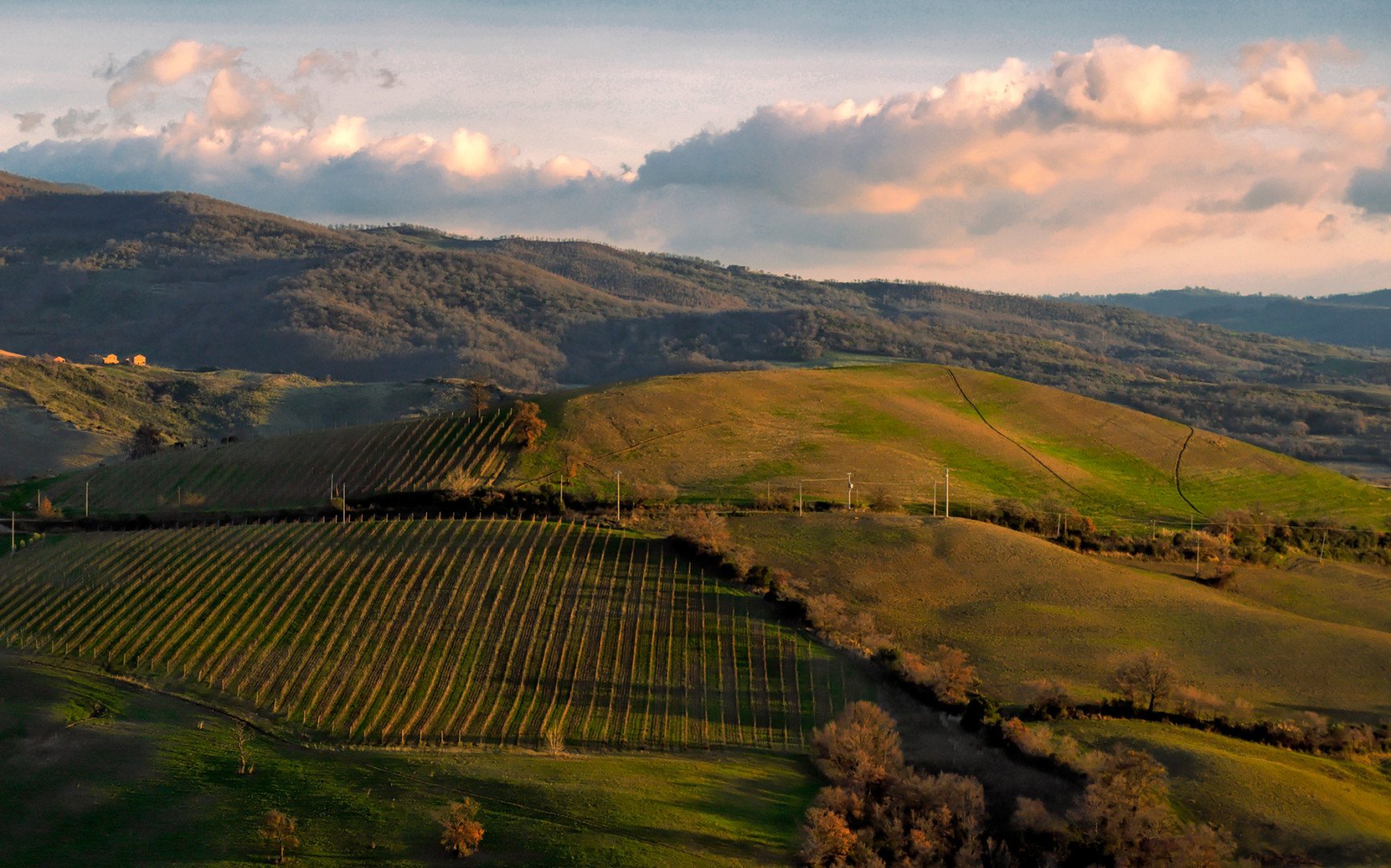 cinigano maremma tuscany