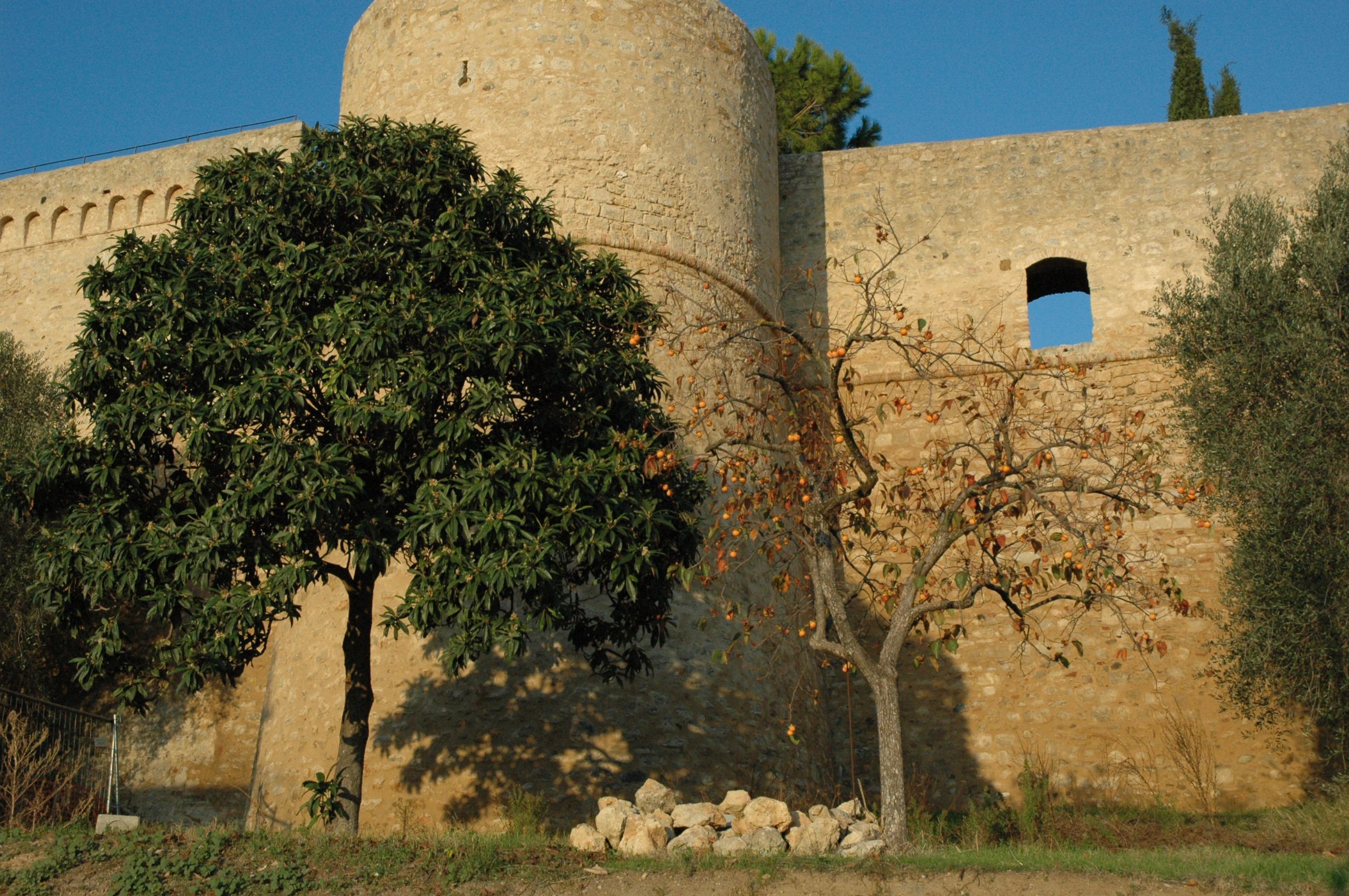 magliano-wall