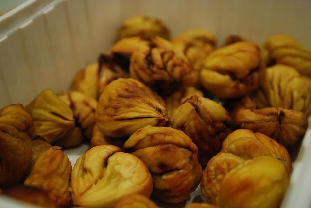 chestnut_maremma_tuscany